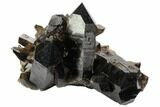 Dark Smoky Quartz Crystal Cluster - Brazil #124597-2